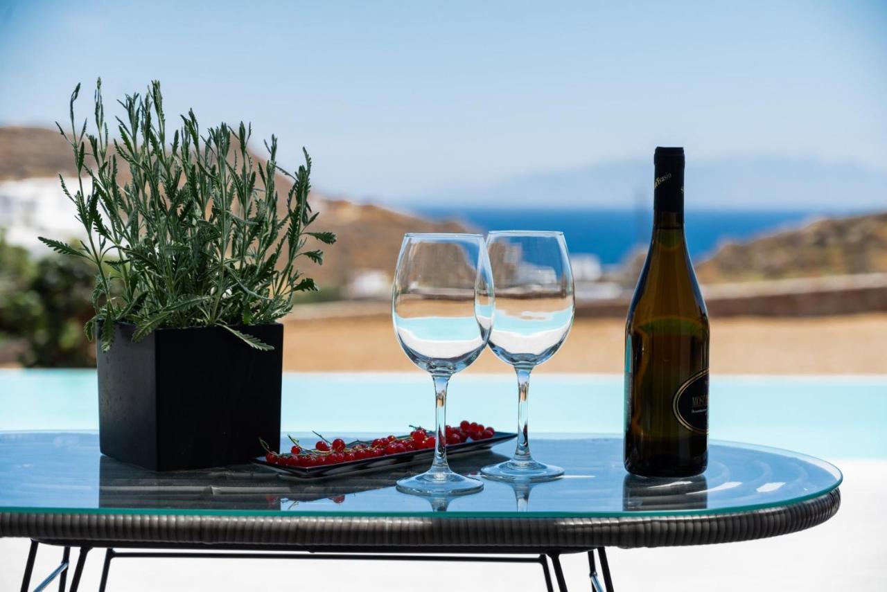 Dioni Villa Mykonos Paraga  Ngoại thất bức ảnh