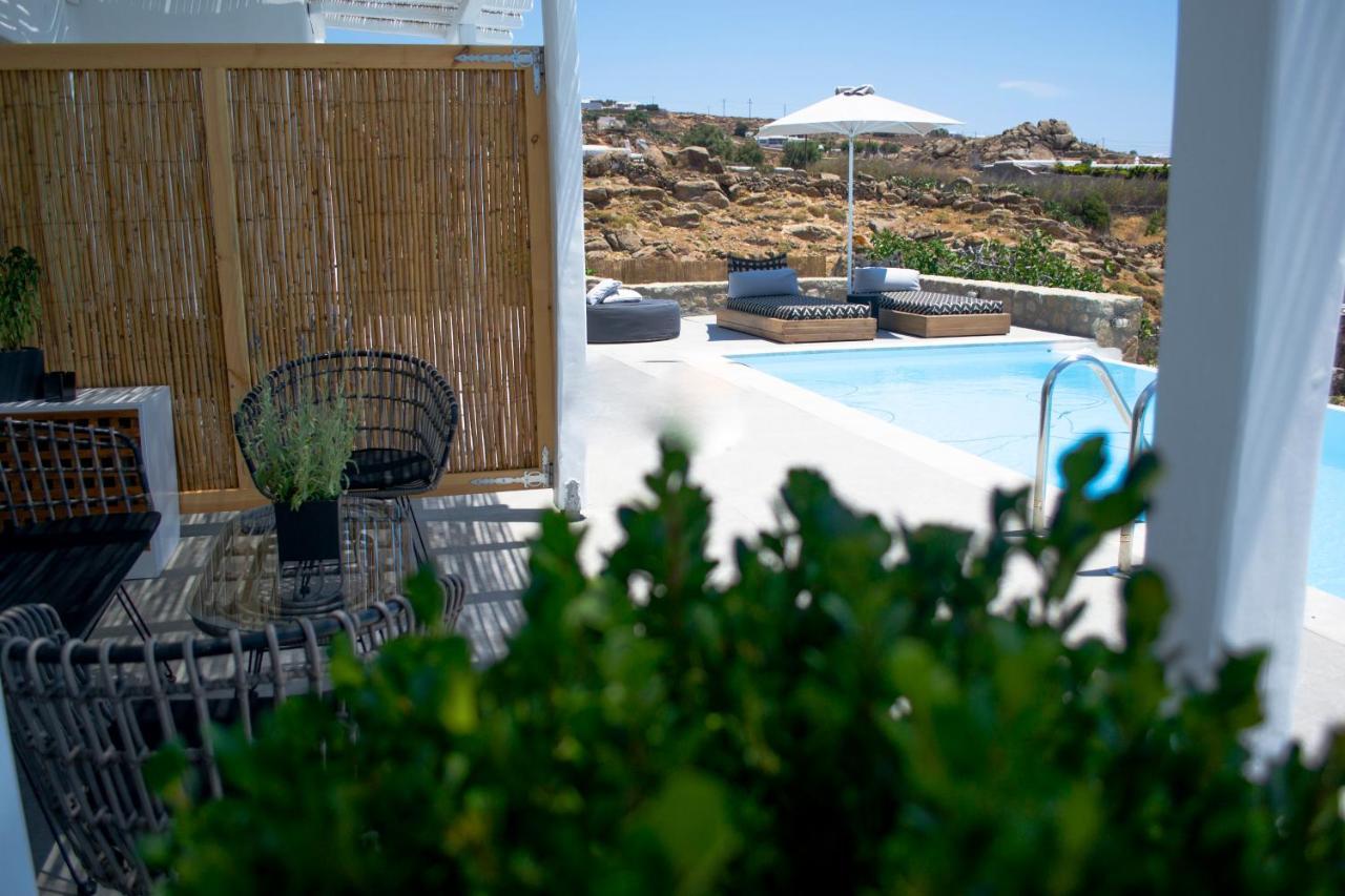 Dioni Villa Mykonos Paraga  Ngoại thất bức ảnh